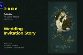 Wedding Invitation Story 48939145