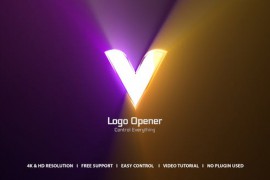 Logo Intro 47304852