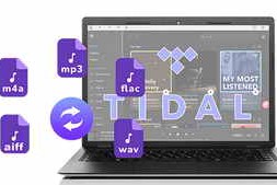 Pazu Tidal Music Converter 1.7.2 (x64) Multilingual