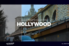 Hollywood LUT Collection Vol. 01 for Final Cut Pro X 46804108
