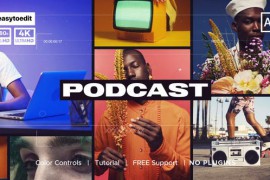 Podcast Intro Opener 48415455