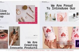 Fashion Cosmetics Promotion 51343777