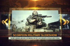 Scorpion Military Slideshow 22557914