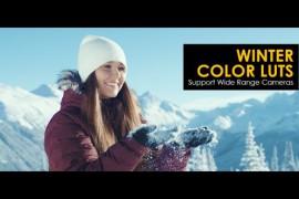 Winter Color LUTs 48513098