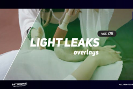 Light Leaks Overlays Vol. 08 for Premiere Pro 48037570