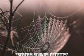 HQ Special FX Scream Sounds Effects FLAC