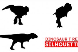 Dinosaur T Rex Silhouette 51705855