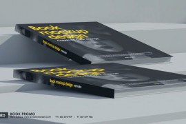 Book Promo V3 50237366