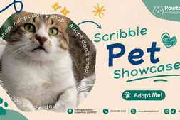 Free Download:Scribble Pet Showcase Promo 64569344