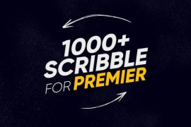 1000+ Scribble Premiere 23384393