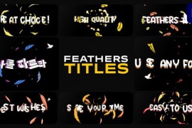 Feathers Titles for Premiere Pro 48504921