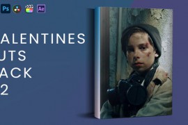 Valentines Luts Pack V2 43406558