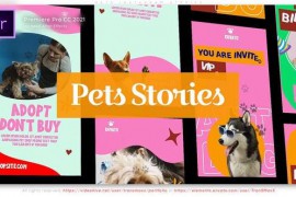 Pets Instagram Stories 46160743