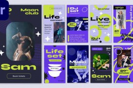 Live Music Festival Concert Instagram Stories MOGRT 43127887