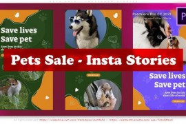 Pets Sale - Instagram Stories 49839240