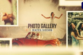 Photo Gallery 46966581