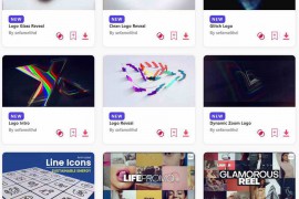 2024.1.3.39.Set.AE.Templates