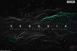 Free Download:Boris FX Sequoia 2025.0.3 v17.4.3.25267
