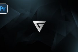 Platinum Logo Reveal | Premiere Pro 51831722
