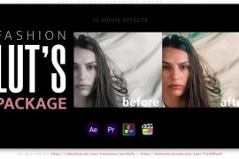 Fashion and Standard Color LUTs 50770381