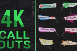 Call Outs pack 50117482