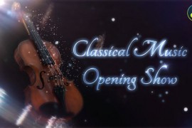 Violin - Instrument Title 30070957