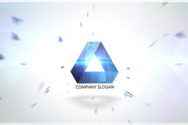 Flying Logo Reveal 46498864