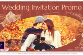 Wedding Invitation Promo 42249229