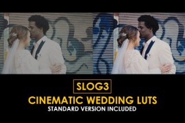 Slog3 Cinematic Wedding and Standard LUTs 51040413