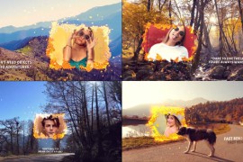 Autumn Nature Cinematic Trailer 56205389
