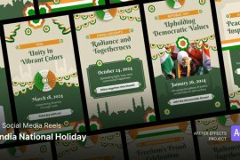 Social Media Reels - India National Holiday After Effects Template 50206095
