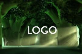 Broccoli Logo Opener | Nature, Ecology, Vegetarianism DR 33275659