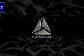 Platinum Logo 50744729