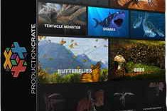 Production Crate – Animals & Creatures