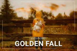 3motional - 30 Golden Fall LUT Collection