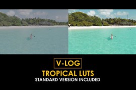 V-Log Tropical and Standard Color LUTs 51303308