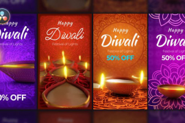 Diwali Festival Stories Pack 48805061