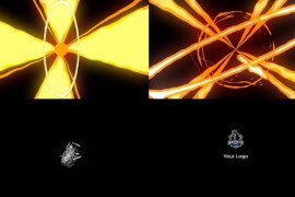 FX Logo Reveal 31766317