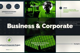 Corporate 20802818
