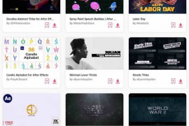 2023.8.4.195.Set.AE.Templates