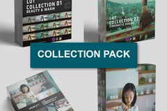 Colorwheelstore – Combo – LUT Collection Pack