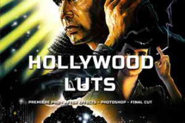 Hollywood LUTs – Blade Runner