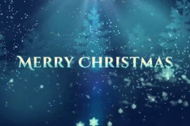 Christmas 13863308