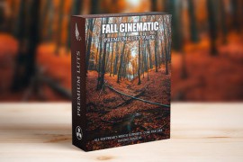 Cinematic Moody Fall Autumn LUT 48331653