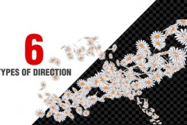 Flowers Spiral Pack 50732984