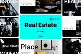 Real Estate Promo Vol. 03 48999932