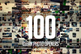 100 Clean Photo Openers - Logo Reveal Pack 11765632