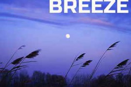 Cloud Nine Records Night Breeze FX FLAC-FANTASTiC