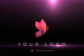 Logo Reveal 46762094
