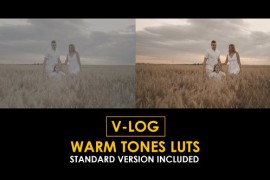 V-Log Warm Tones and Standard Color LUTs 51443827